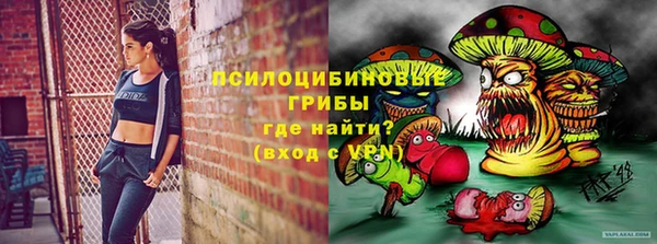 соль курить ск Богданович