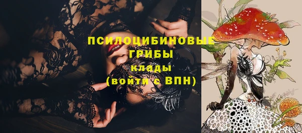 соль курить ск Богданович