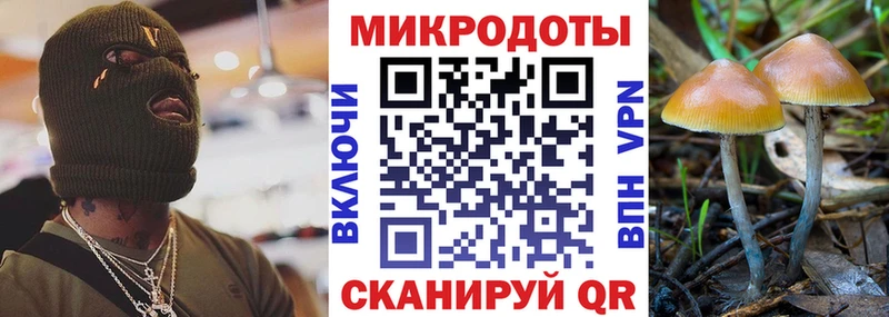 Галлюциногенные грибы мицелий Цивильск